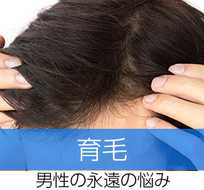 男性の永遠の悩み